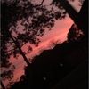oliviadefrates1